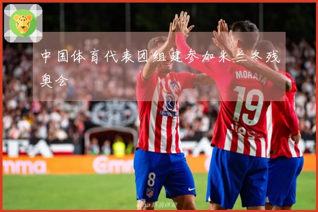 中国体育代表团组建参加米兰冬残奥会