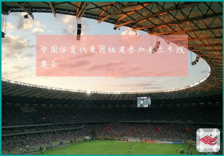 中国体育代表团组建参加米兰冬残奥会