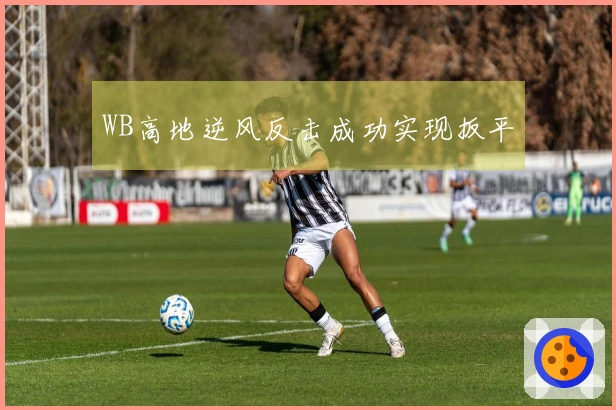 WB高地逆风反击成功实现扳平